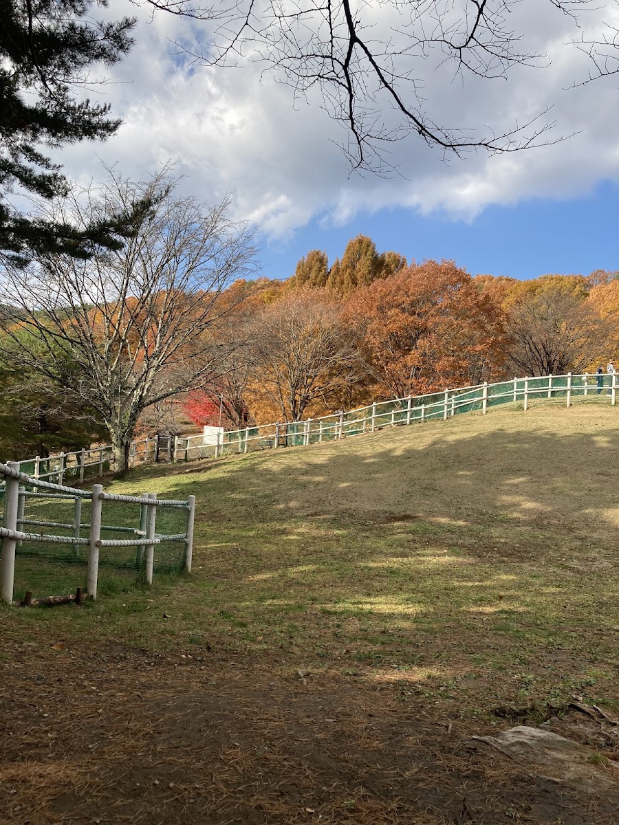 鳥居平やまびこ公園 ドッグランの写真