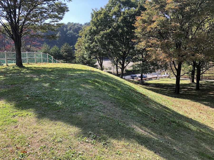 鳥居平やまびこ公園 ドッグランの写真