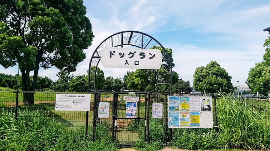 つばさドッグラン（城南島海浜公園）の写真