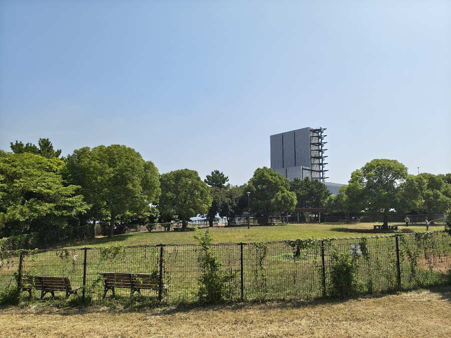つばさドッグラン（城南島海浜公園）の写真