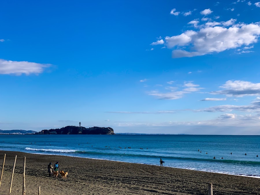 神奈川県立 辻堂海浜公園の写真