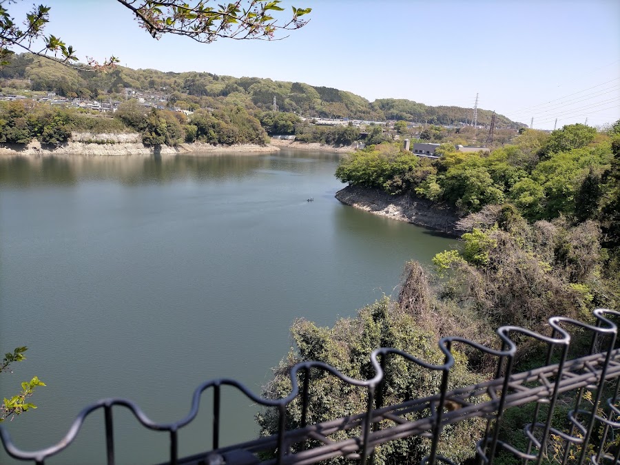 県立津久井湖城山公園の写真