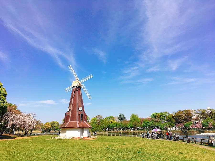 浮間公園の写真