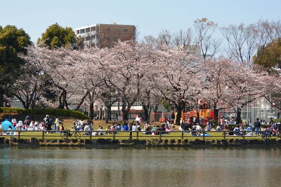 浮間公園の写真