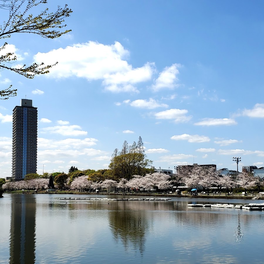 浮間公園の写真