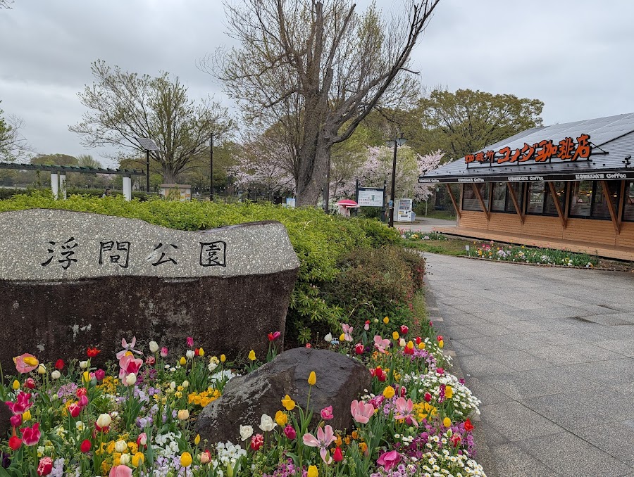 浮間公園の写真