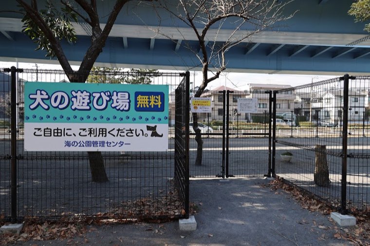 水辺で遊ぶ犬