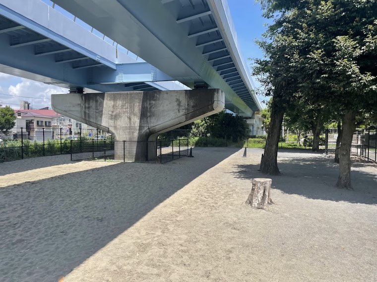 海の公園 犬の遊び場の写真
