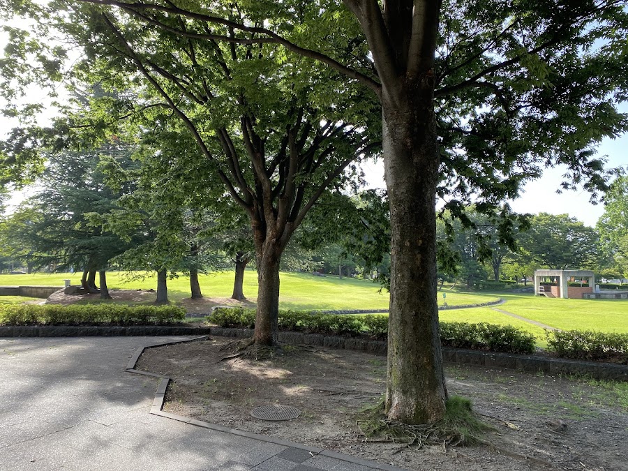 若里公園の写真