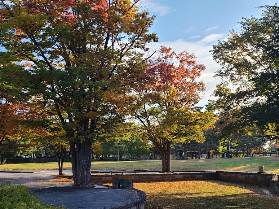 若里公園の写真