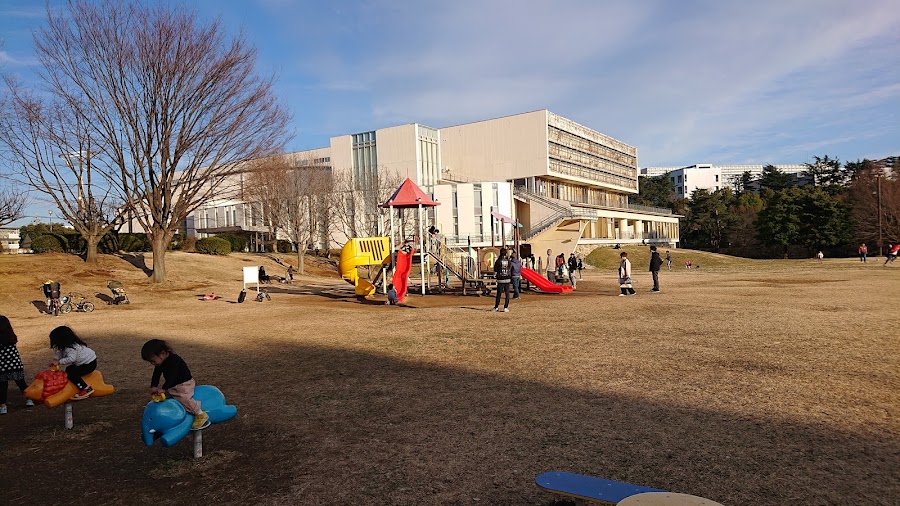 県営和光樹林公園の写真