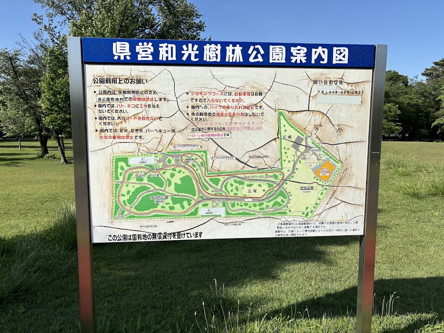 県営和光樹林公園の写真