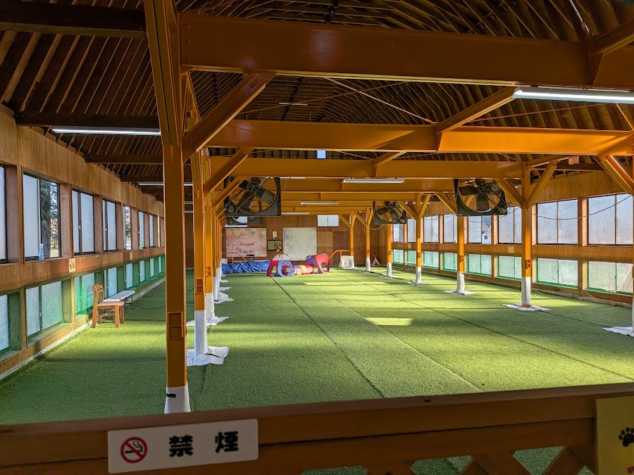 わん's広場の写真