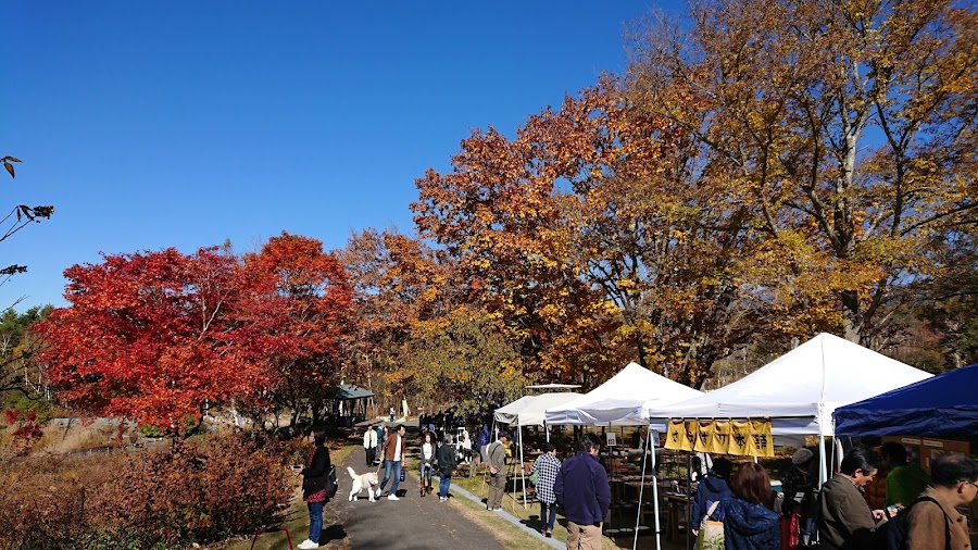 八ヶ岳自然文化園の写真