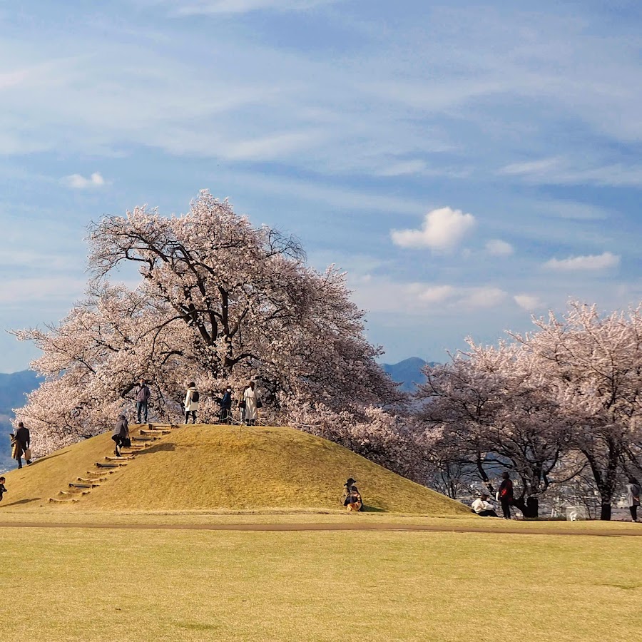 八代ふるさと公園の写真
