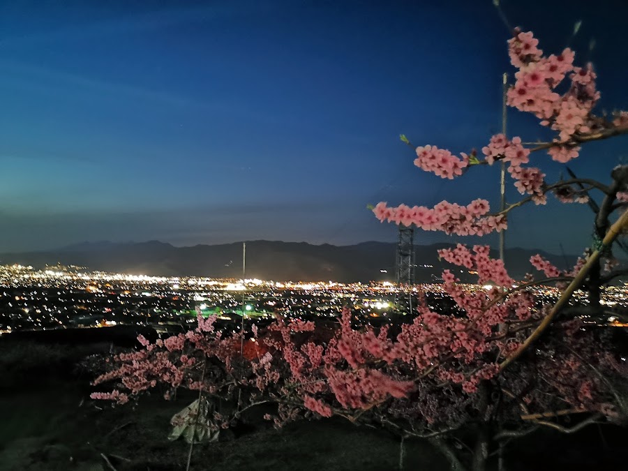 八代ふるさと公園の写真
