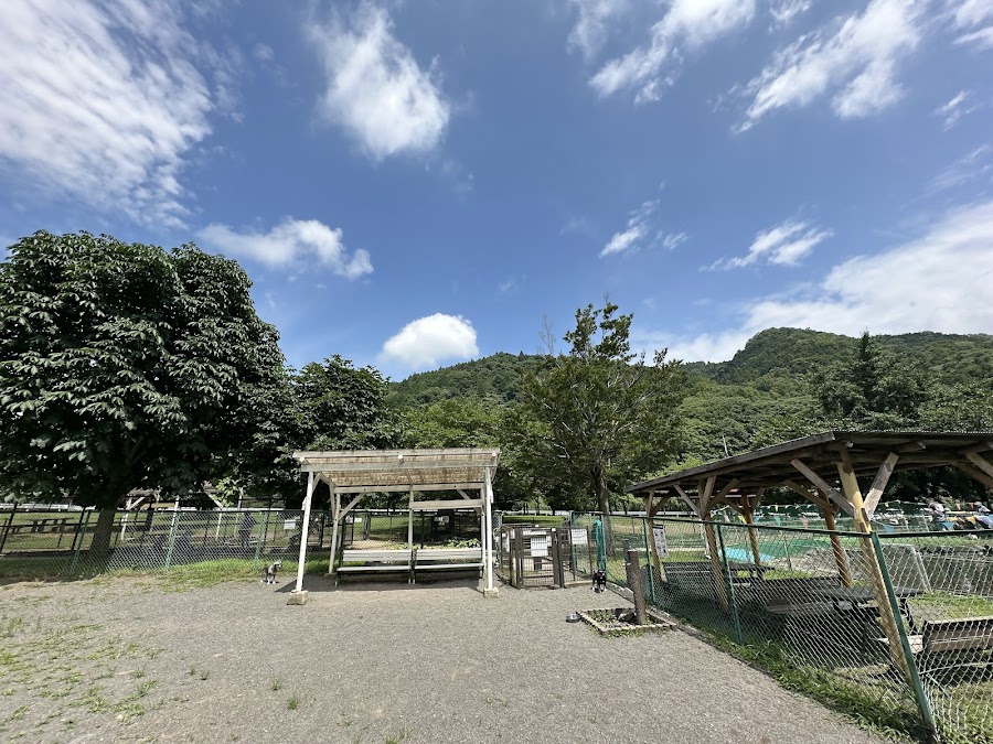 寄七つ星ドッグランの写真