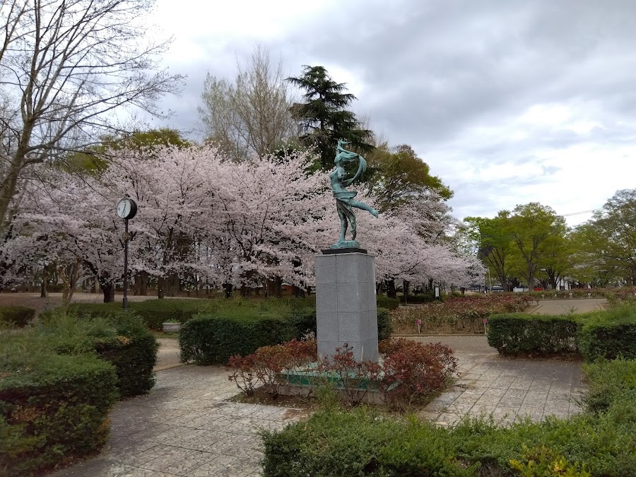 与野公園の写真