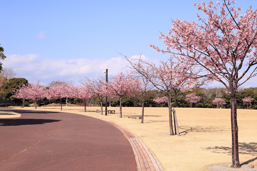 静岡県営 吉田公園の写真