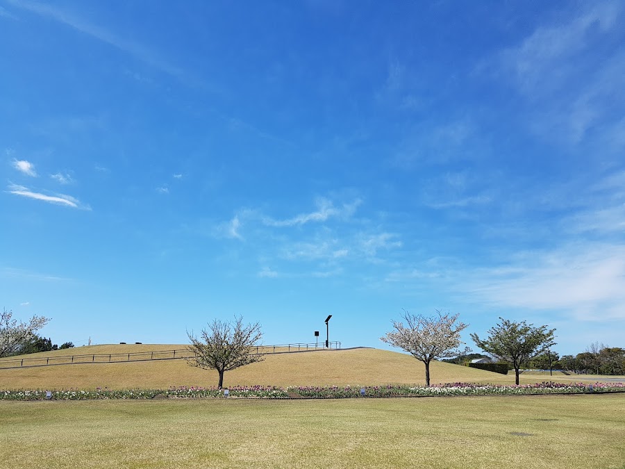 静岡県営 吉田公園の写真