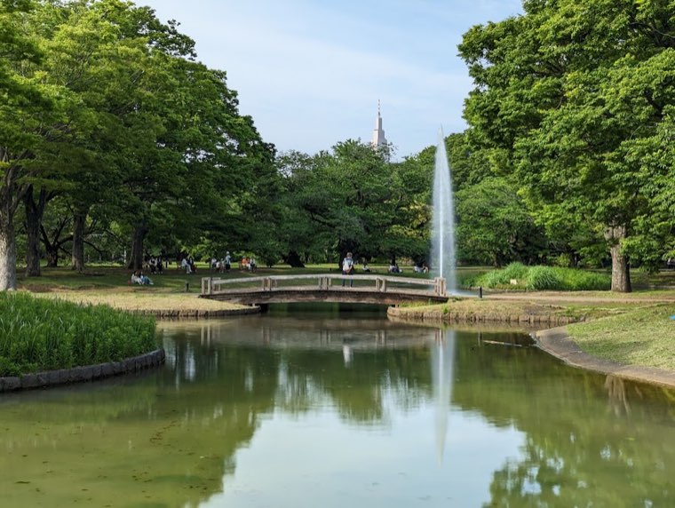 代々木公園の写真