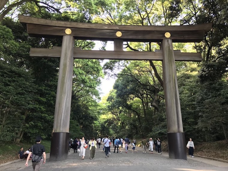 代々木公園の写真