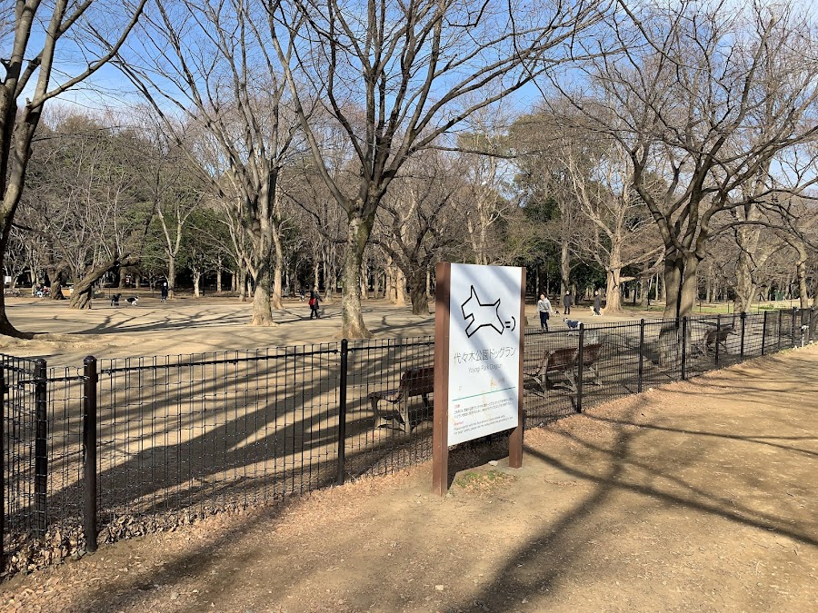 代々木公園ドッグランの写真