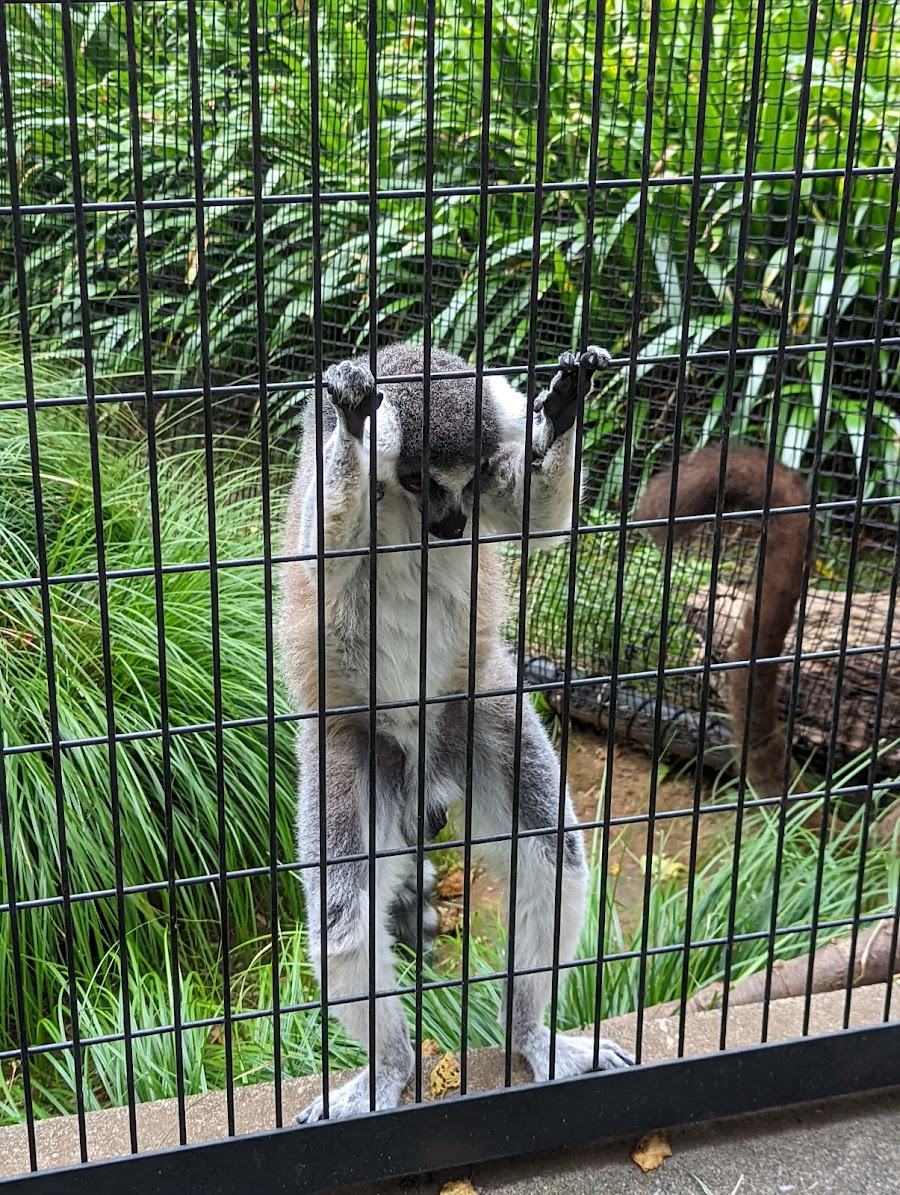 夢見ヶ崎動物公園の写真