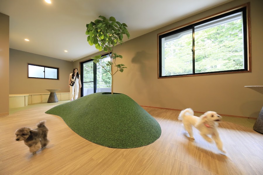 ゆるり箱根with DOGSの写真