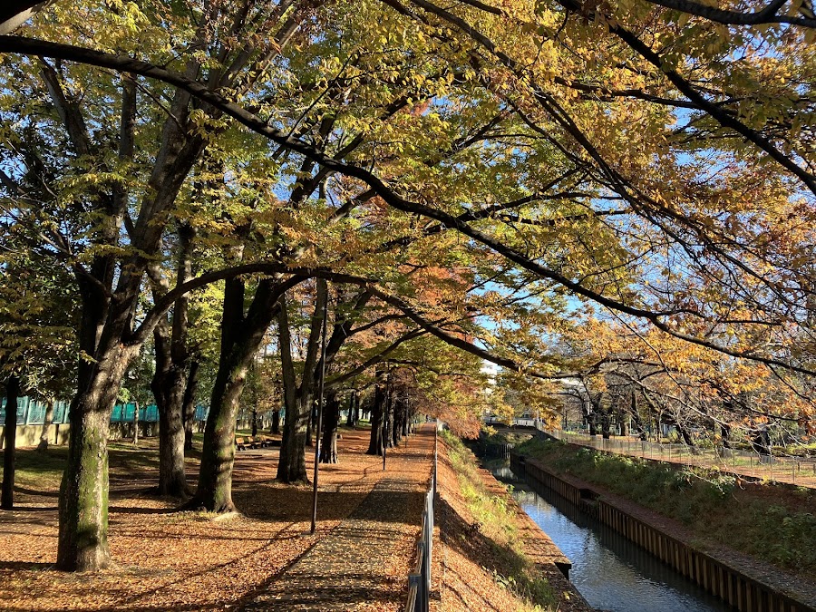 善福寺川緑地の写真